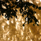 Image for article titled Weird Art Brings Plastic Shopping Bags Closer to Nature